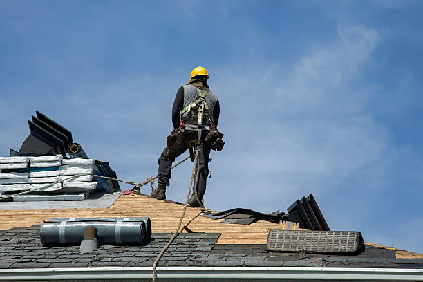 Professional Storm Damage Roof Repair technician working in Darlington, WI